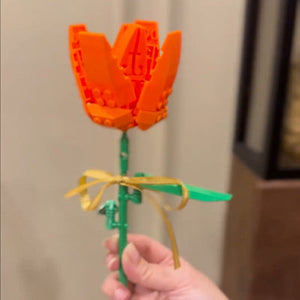 Best online toys in Pakistan