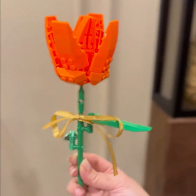 Best online toys in Pakistan