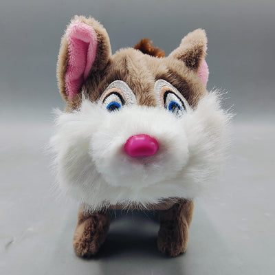 Best online toys in Pakistan