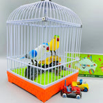 Birds Cage With Light & Sound