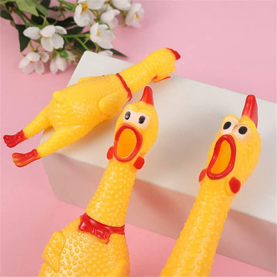 Best online toys in Pakistan