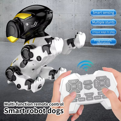 Best online toys in Pakistan