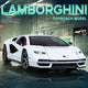 Diecast 1:24 Lamborghini Countach Car