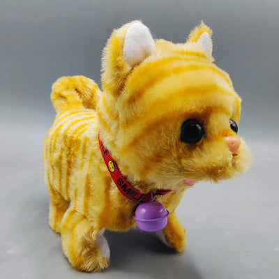 Best online toys in Pakistan