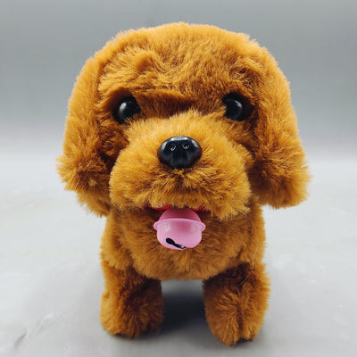 Best online toys in Pakistan