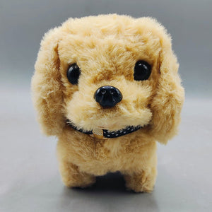 Best online toys in Pakistan