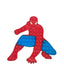 Pop It Spider Man Fidget Toy