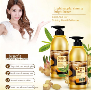 Bio Aqua Ginger Shampoo And Hair Mask Set