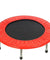 Trampoline For Kids ( 32 Inch )