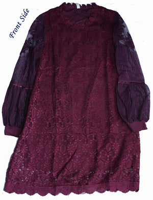Long Net Full Sleeve Frock
