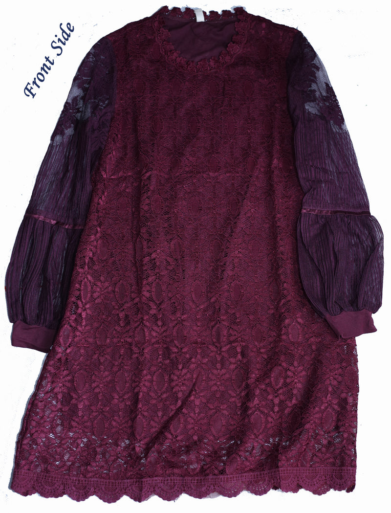 Long Net Full Sleeve Frock