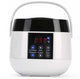 Wax Warmer Portable Electric Wax Heater With Digital Screen Display
